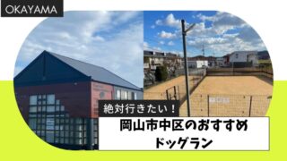 【最新版】岡山市中区のおすすめドッグランまとめ|初心者にもおすすめ!