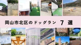 【最新版】自然と街が調和する!岡山市北区のおすすめドッグランを徹底紹介