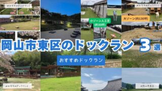 【最新版】のびのび遊べる!岡山市東区のおすすめドッグランを徹底紹介