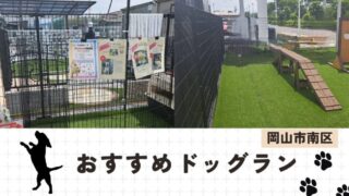 【最新版】岡山市南区で愛犬と過ごす!おすすめドッグランまとめ
