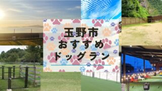【最新版】自然あふれる玉野市で愛犬と過ごす!おすすめドッグラン完全ガイド