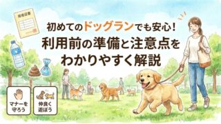 初めてのドッグランでも安心！利用前の準備と注意点をわかりやすく解説