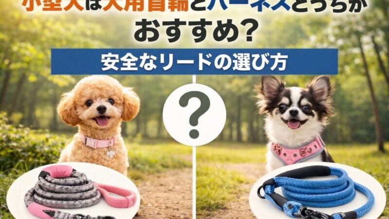小型犬は犬用首輪とハーネスどっちがおすすめ？安全なリードの選び方と人気6選