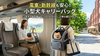 電車・新幹線も安心！小型犬キャリーバッグおすすめ5選｜リュック・トートなど楽な選び方のコツ 