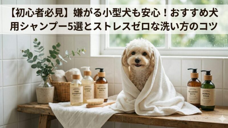 【初心者必見】嫌がる小型犬も安心！おすすめ犬用シャンプー5選とストレスゼロな洗い方のコツ
