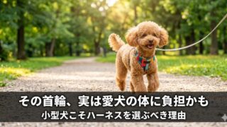 小型犬におすすめのハーネス5選！首輪との違いや選び方を徹底解説 