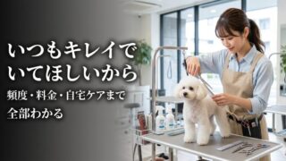 小型犬のトリミング完全ガイド！犬種別の頻度・料金相場と自宅でできるセルフグルーミングのコツ 