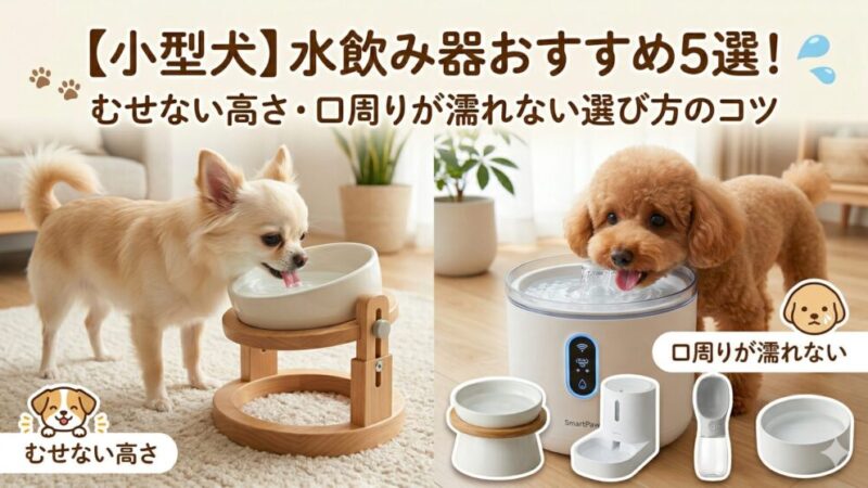 【小型犬】水飲み器おすすめ5選！むせない高さ・口周りが濡れない選び方のコツ