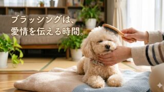 小型犬のブラッシング完全ガイド！正しいやり方とおすすめブラシ5選 
