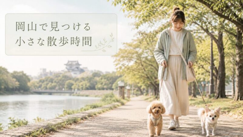岡山で小型犬と散歩しやすい公園・街歩きスポット6選！安全に楽しむコツとマナーを解説