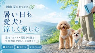 岡山で夏でも小型犬とお出かけしやすいスポット5選！涼しく過ごすコツと注意点を解説 