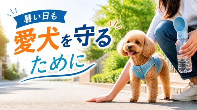 小型犬の熱中症対策完全ガイド！夏の散歩・留守番・暑さ対策を解説