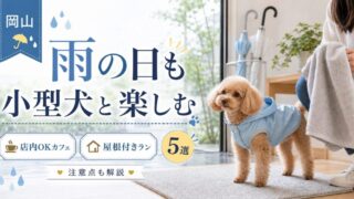 岡山で雨の日に小型犬と過ごせる場所5選！店内OKカフェ・屋根付きラン・注意点を解説 