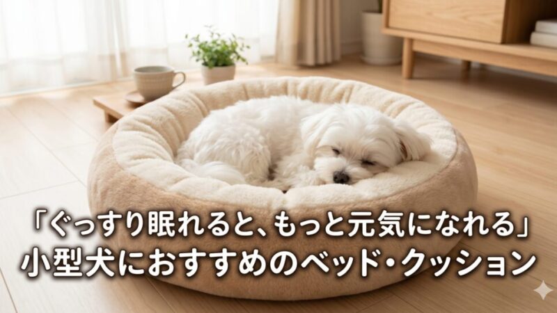 小型犬用ベッド・クッションおすすめ5選！失敗しない選び方と犬種別ガイドを解説