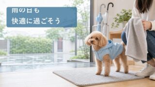 小型犬の梅雨対策完全ガイド！雨の日の散歩・室内遊び・湿気ケアを解説 