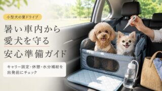 小型犬の夏ドライブ完全ガイド！車内の暑さ対策・休憩・キャリーの安全な使い方を解説 