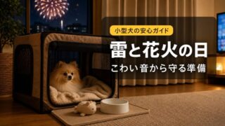 小型犬の雷・花火対策完全ガイド！震える・吠える・隠れる時の落ち着かせ方を解説 