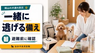 岡山で犬連れ避難を考える完全ガイド！災害時の持ち物・避難所確認・小型犬の備えを解説 