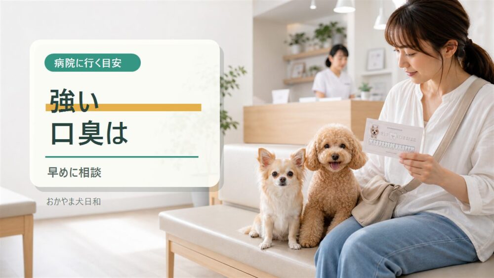 強い口臭は早めに動物病院へ相談
