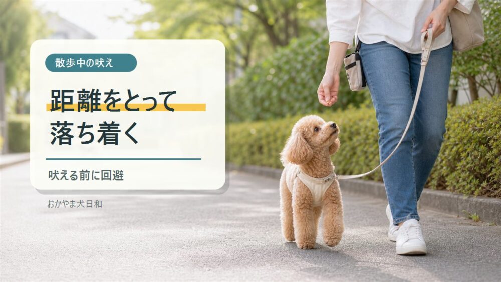 散歩中の吠え 距離をとって落ち着く