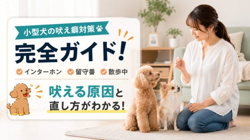 小型犬の吠え癖対策完全ガイド！インターホン・留守番・散歩中に吠える原因と直し方 