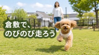 【最新版】倉敷市で愛犬と遊べるおすすめドッグラン8選！小型犬連れで確認したいポイントも解説 