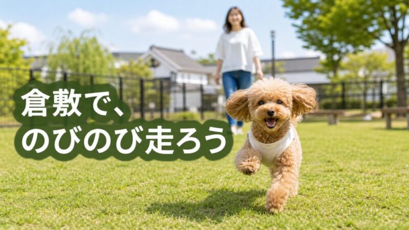 【最新版】倉敷市で愛犬と遊べるおすすめドッグラン8選！小型犬連れで確認したいポイントも解説