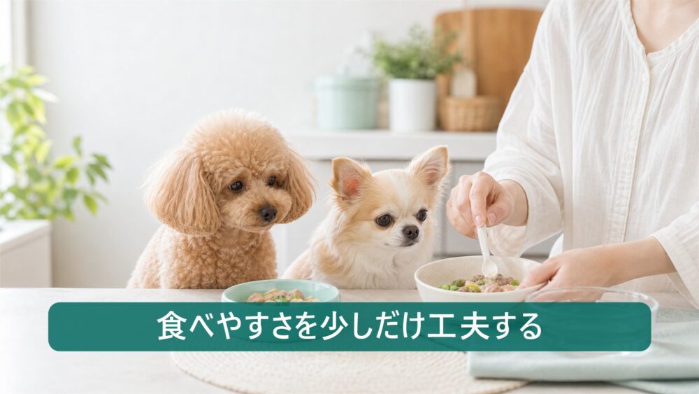 小型犬の夏バテ時に食べやすいごはんを工夫するイメージ